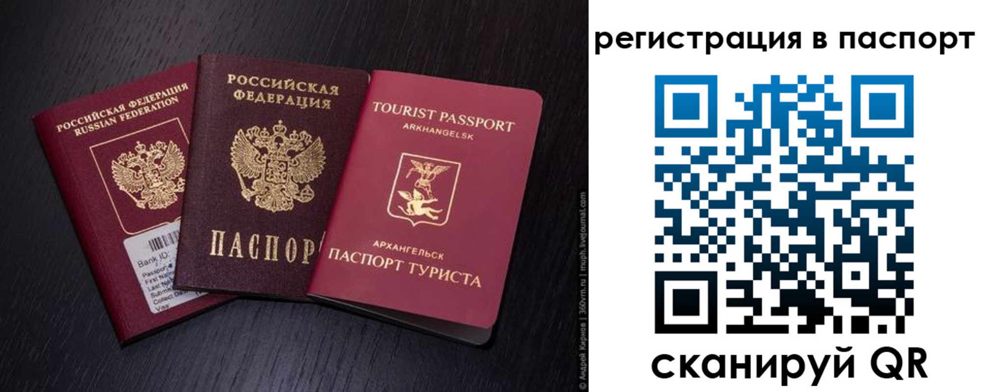 прописка в квартире в Долгопрудном